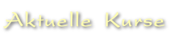 Aktuelle Kurse
